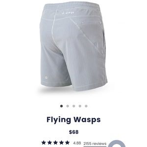 Birddogs Flying Wasps